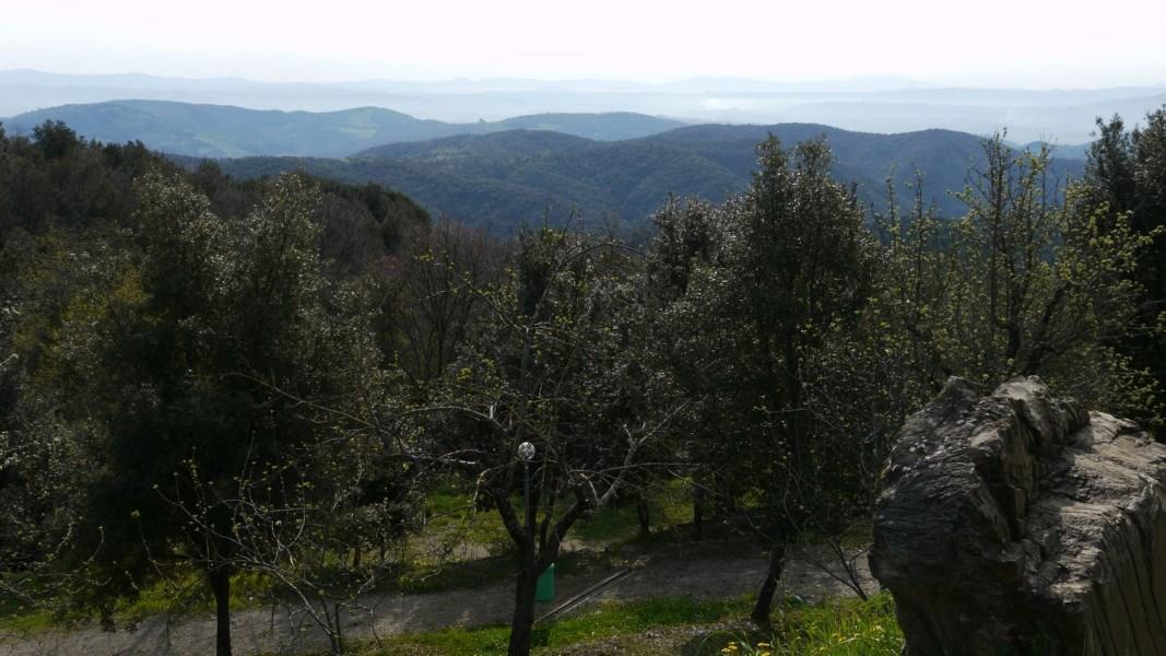 Camping Le Soline Casciano Di Murlo Kültér fotó