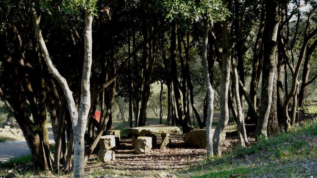 Camping Le Soline Casciano Di Murlo Kültér fotó