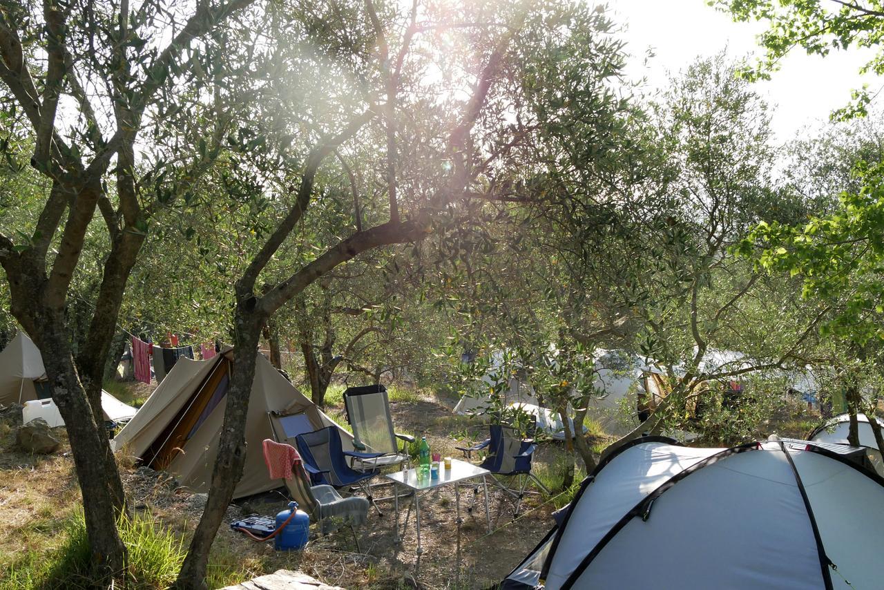 Camping Le Soline Casciano Di Murlo Kültér fotó