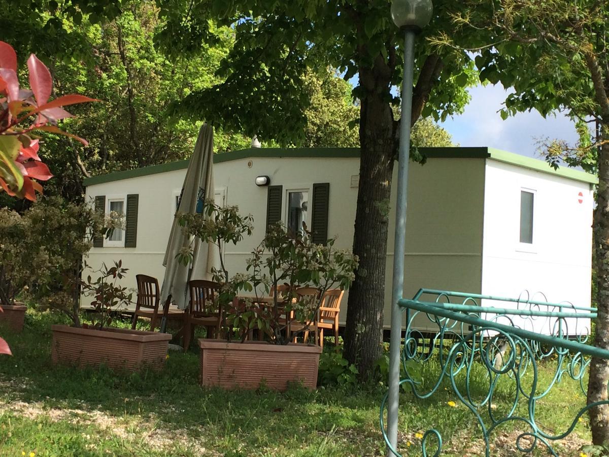 Camping Le Soline Casciano Di Murlo Kültér fotó