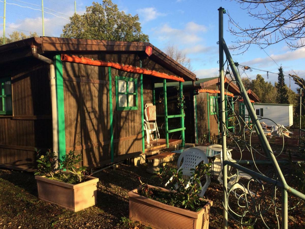 Camping Le Soline Casciano Di Murlo Kültér fotó