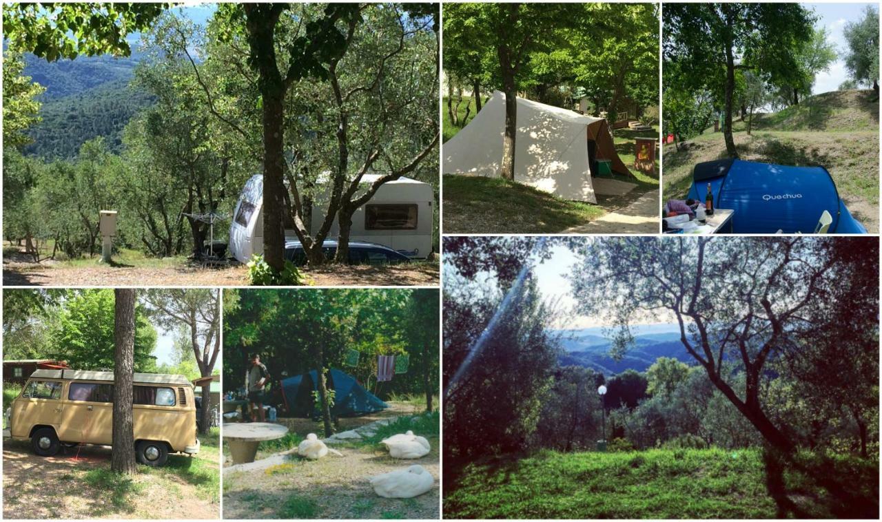 Camping Le Soline Casciano Di Murlo Kültér fotó