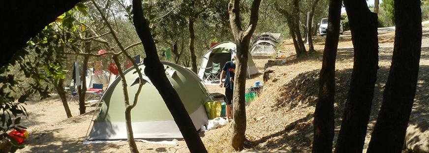 Camping Le Soline Casciano Di Murlo Kültér fotó