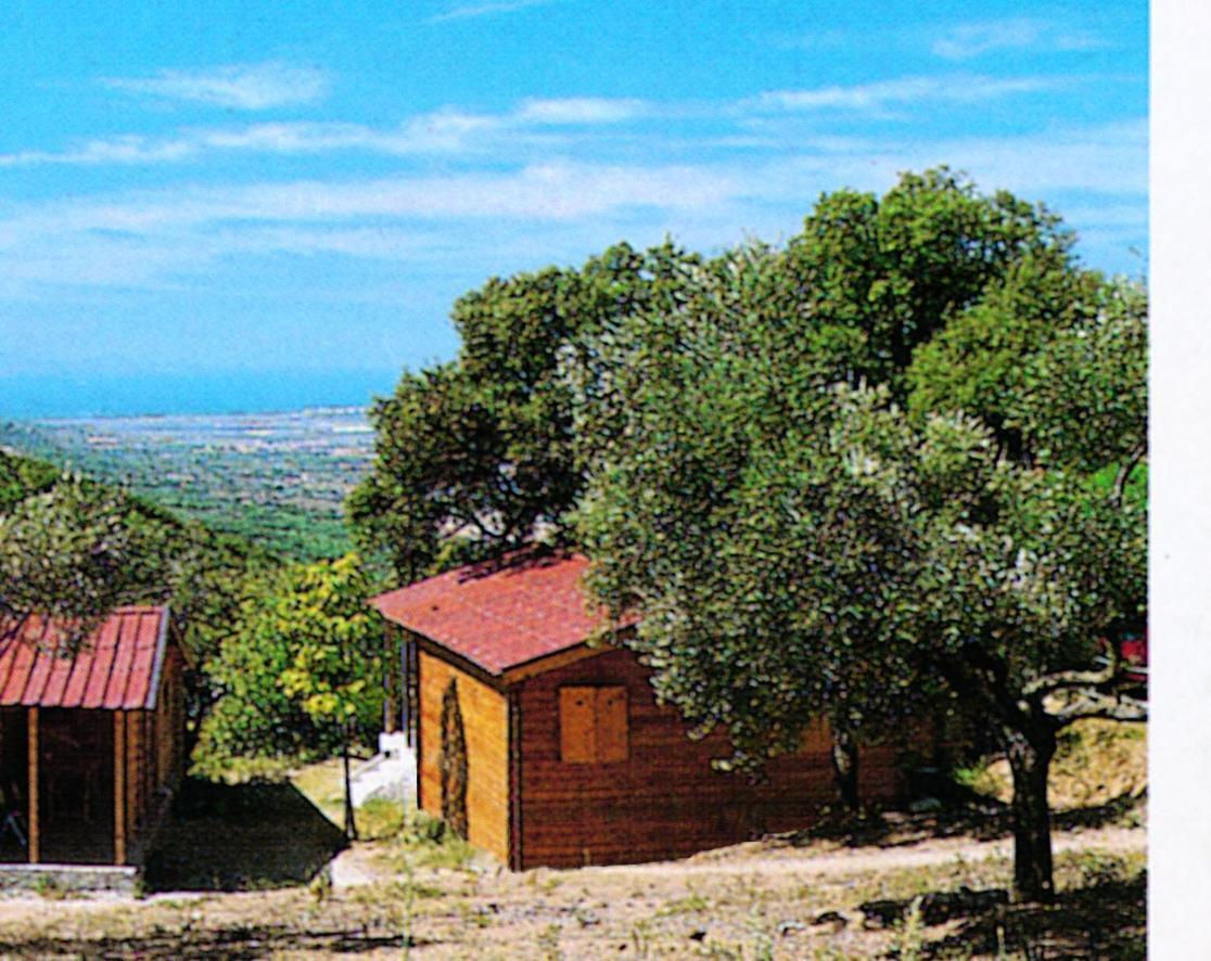 Camping Le Soline Casciano Di Murlo Kültér fotó